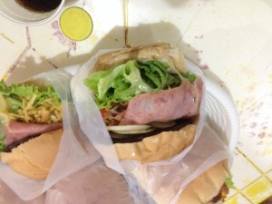 FAlanches2