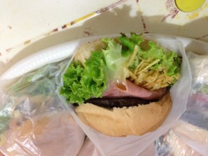 FAlanches3